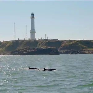 Holiday home Lighthouse With Hottub, Aberdeen